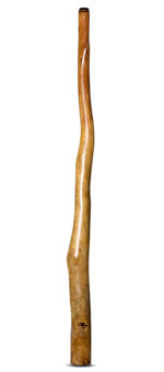 Tristan O'Meara Didgeridoo (TM263)